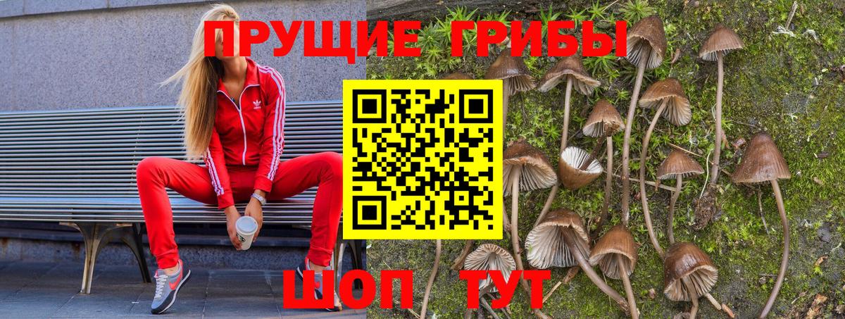 Канаш  Галлюциногенные грибы GOLDEN TEACHER  Вход с VPN 